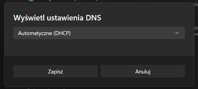 Okno edycji ustawień DNS w systemie Windows